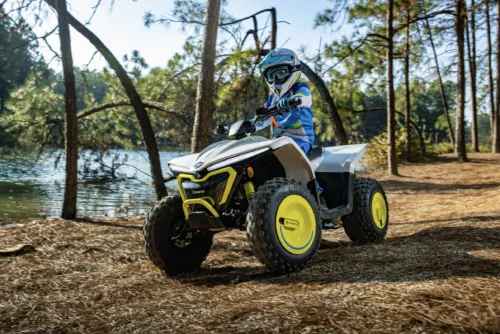 CFMOTO CFORCE EV110